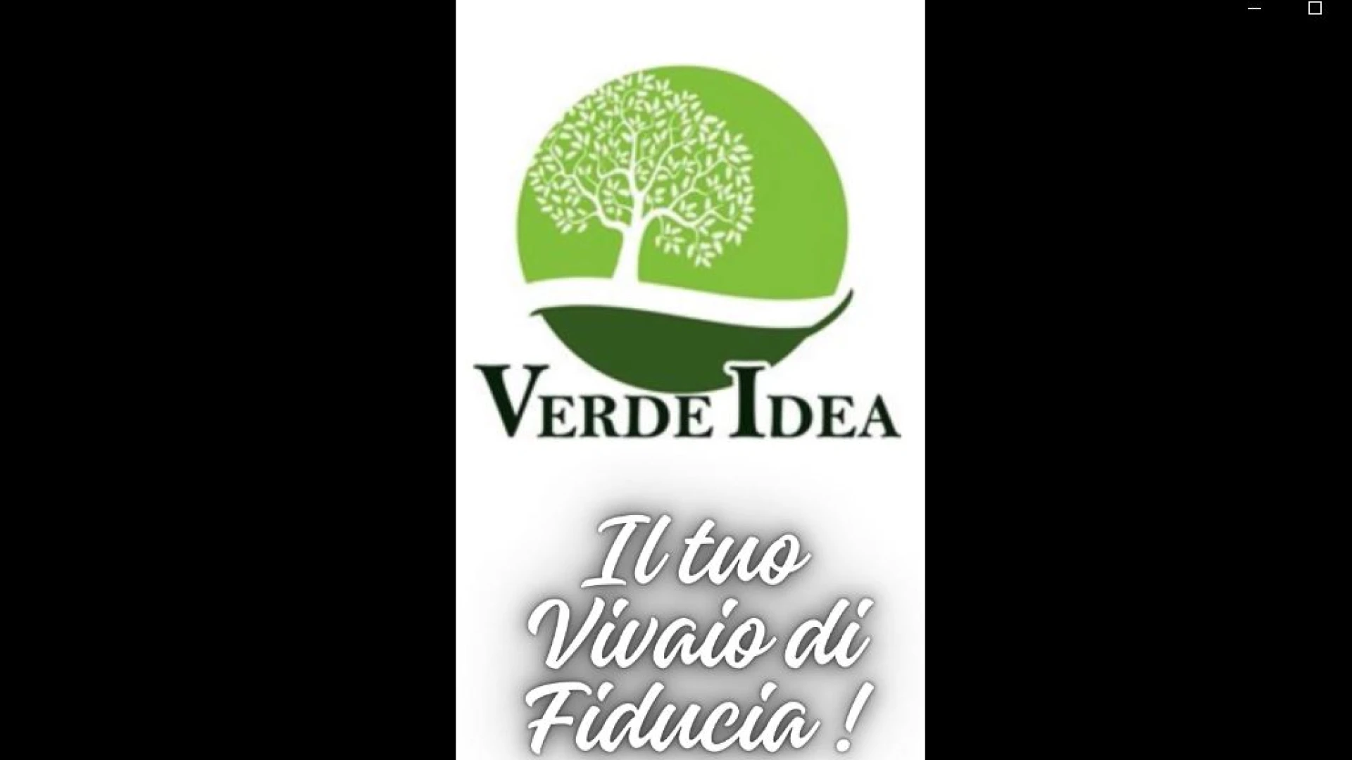 Verde Idea ad Isernia e' il tuo vivaio di fiducia. Le offerte autunno-inverno 2024. Guarda lo spot